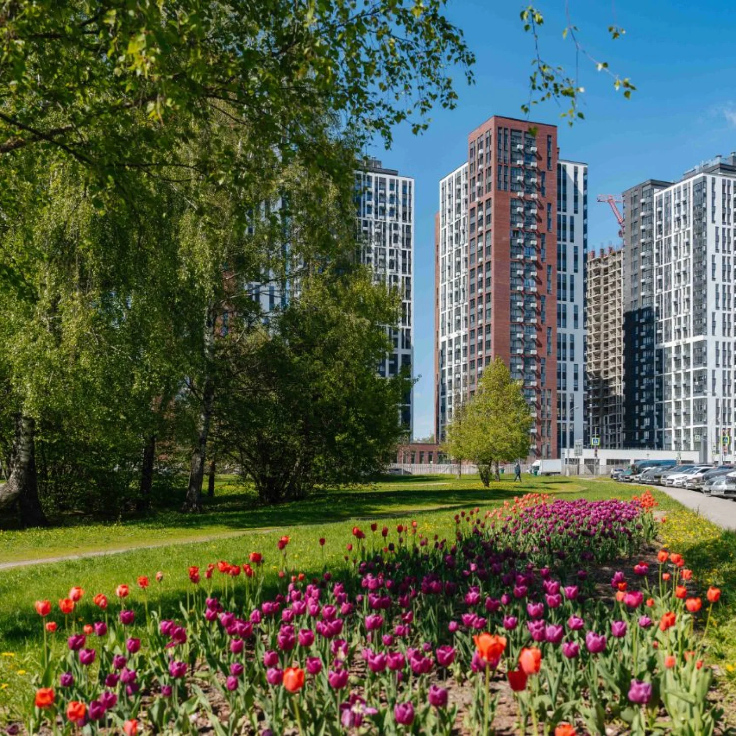 Фото квартиры 3
