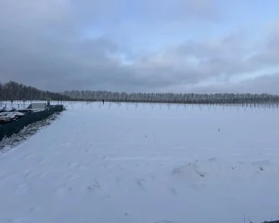 2025 Ноябрь