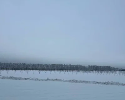 2026 Январь
