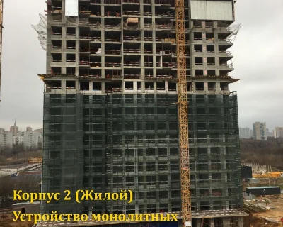 2019 Ноябрь