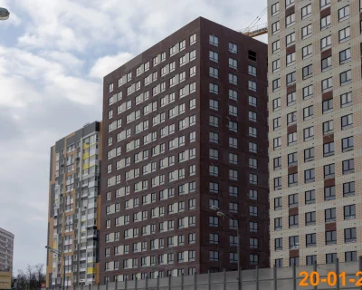 2024 Январь