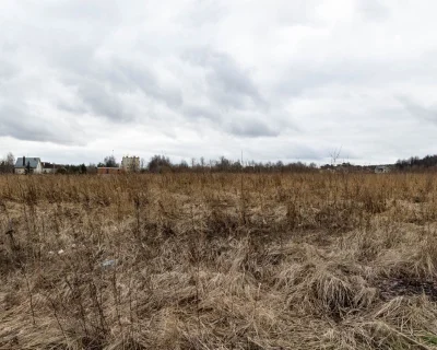 2025 Март