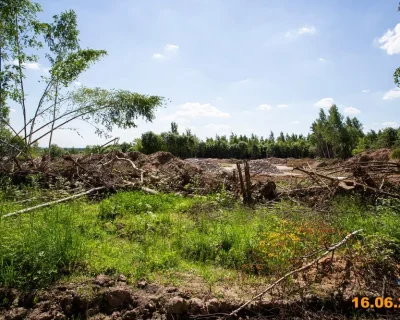 2026 Июнь