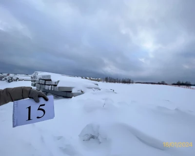 2024 Январь