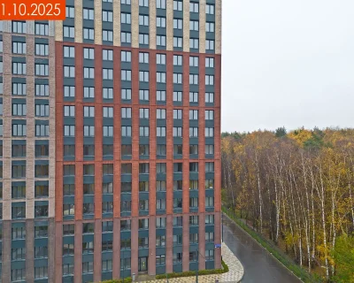 2025 Октябрь