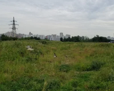 2018 Июль