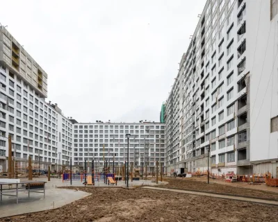 2024 Ноябрь