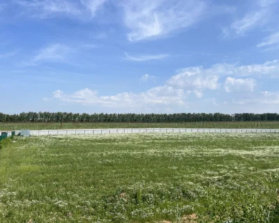 2026 Июнь