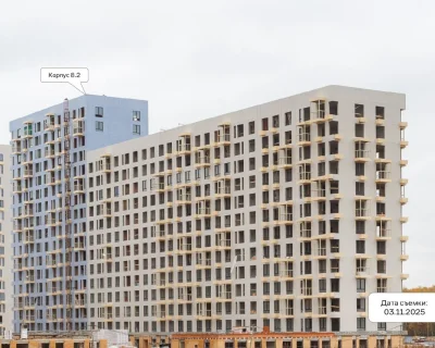 2025 Ноябрь