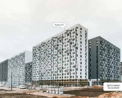 2024 Ноябрь