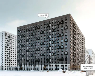 2025 Январь