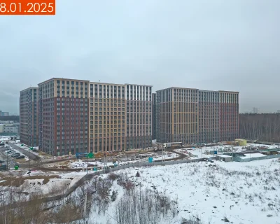 2025 Январь