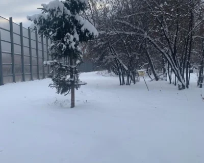 2022 Декабрь
