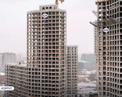 2023 Ноябрь