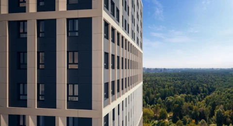 Парки