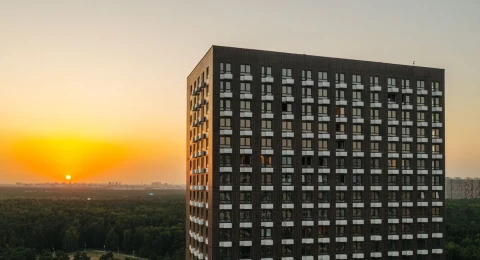 Парки