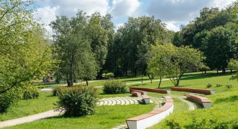 Парки