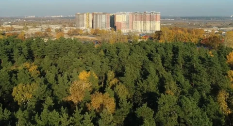 Парки