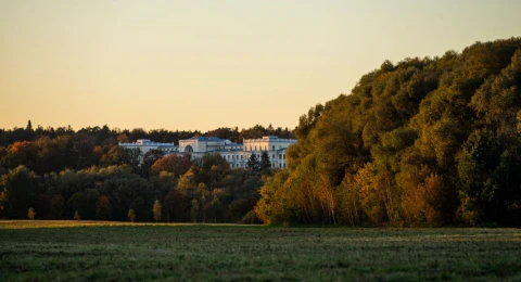 Парки