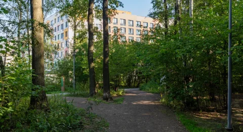Парки