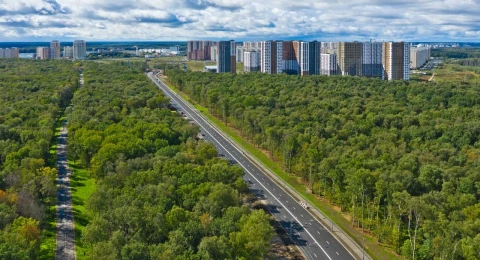 Парки