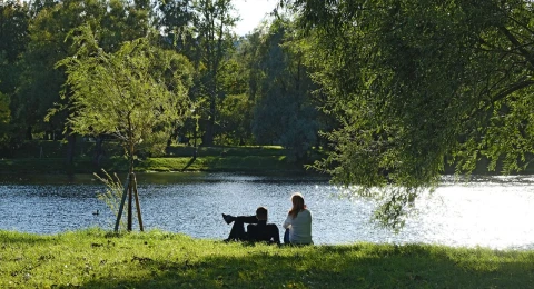 Парки