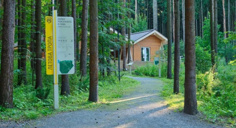 Парки
