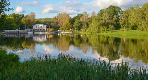 Парки