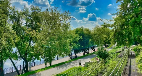 Парки