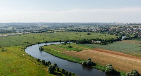 Парки